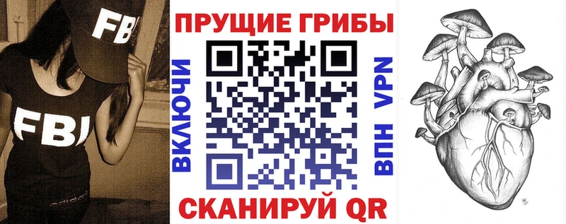 Купить где  Дигора  Псилоцибиновые грибы GOLDEN TEACHER 